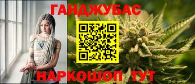 сатива Будённовск