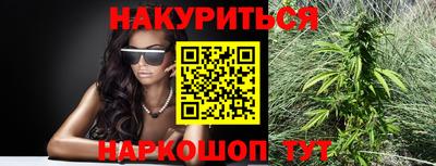 сатива Будённовск
